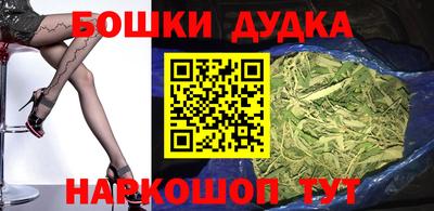 индика Лесосибирск