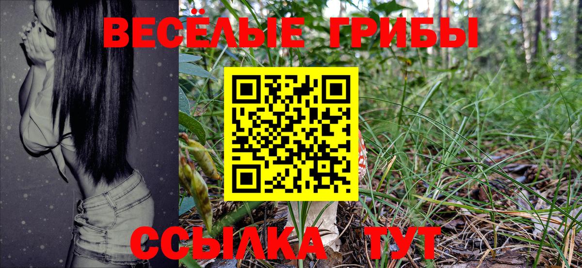 Будённовск  Псилоцибиновые грибы Psilocybine cubensis  Галлюциногенные грибы мицелий  Вход с VPN 